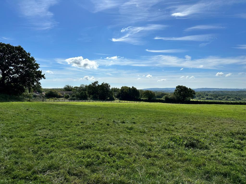 Lot: 137 - SIX ACRES OF EQUESTRIAN LAND WITH STABLES, SAND SCHOOL AND BARNS - Grassed field